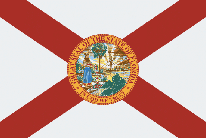 The Florida Flag